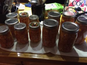 carrots-canned